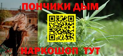 шишки Краснодар
