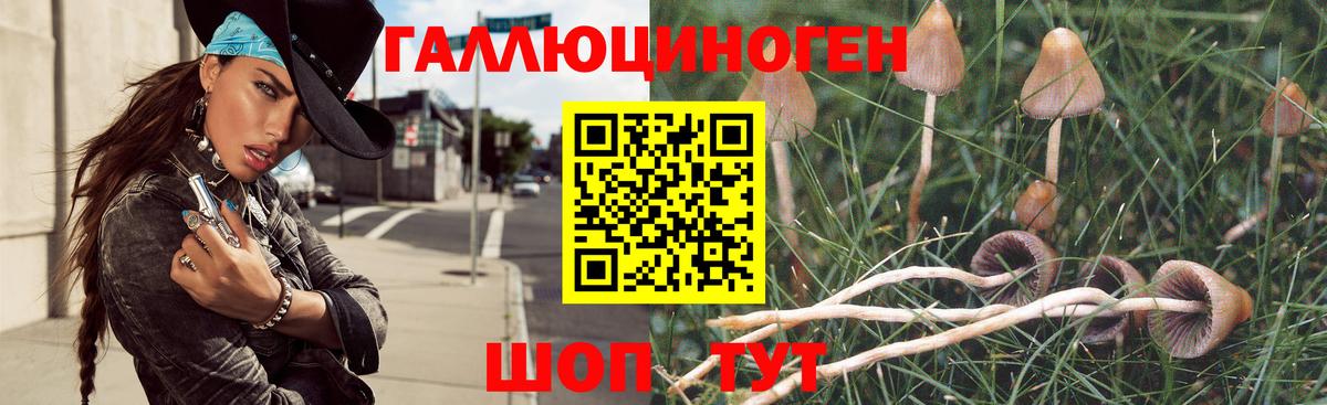 Елизово  Псилоцибиновые грибы Magic Shrooms  Псилоцибиновые грибы Magic Shrooms  Вход с VPN 